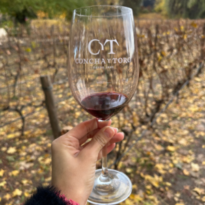 concha y toro